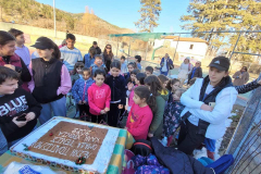 βασιλοπιτα-4