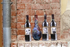 2017-λεσχη-πολιτισμου-φωτια-2α