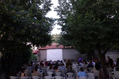 aDSC06033