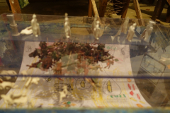 DSC04367