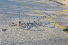 602393766_122253252980153047_337971132084659221_n