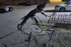 605534143_122253252632153047_254458943998635311_n