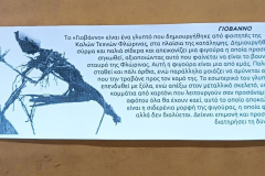 605916787_122253252560153047_3354314455247732693_n