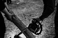 ΕΛΕΥΘΕΡΟΣ-ΧΡΟΝΟΣ-3