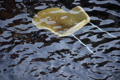 OTI-TO-ΒΛΕΜΜΑ-ΠΡΟΣΠΕΡΝΑ-1