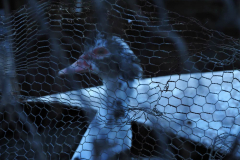 OTI-TO-ΒΛΕΜΜΑ-ΠΡΟΣΠΕΡΝΑ-13