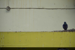 OTI-TO-ΒΛΕΜΜΑ-ΠΡΟΣΠΕΡΝΑ-20