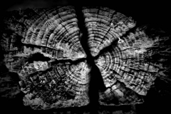 OTI-TO-ΒΛΕΜΜΑ-ΠΡΟΣΠΕΡΝΑ-27