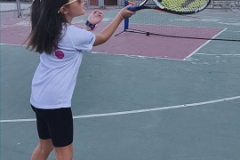IMG-0510f17b21a9fcae2f3d99d789035009-V